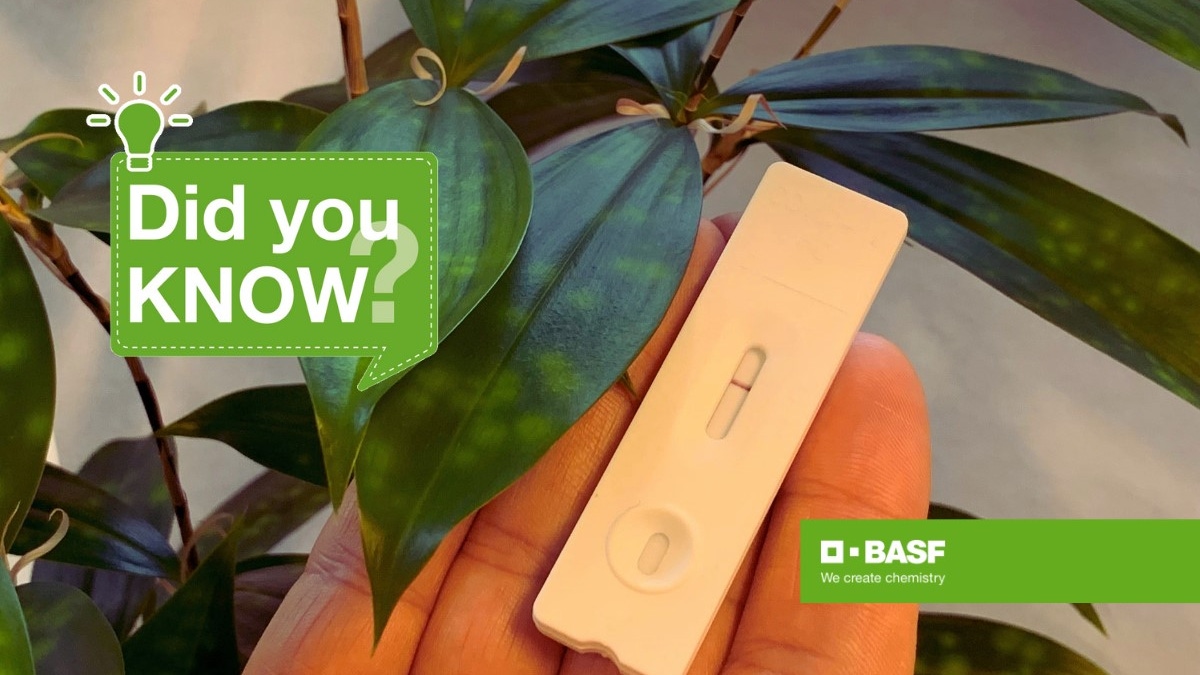 Rapid tests to detect plant viruses