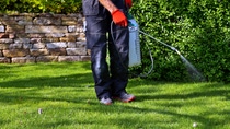 Weed control concept. weed killer series Weed control concept. weed killer series