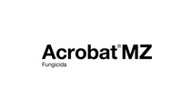 AR-logo-Acrobat-MZ