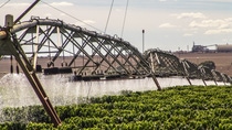 Coffee Irrigation using the center pivot sprinkler system, in Brazil; Shutterstock ID 717719500; purchase_order: ; job: ; client: ; other:  Coffee Irrigation using the center pivot sprinkler system, in Brazil; Shutterstock ID 717719500; purchase_order: ; job: ; client: ; other: