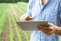 AR Primer plano del agricultor que utiliza tableta digital en granja orgánica AR Primer plano del agricultor que utiliza tableta digital en granja orgánica