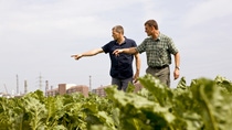 Farmers Frank Lawall  and Dirk Wendel observe the effects of an innovative agricultural solutions product in a field. At BASF’s Rehhütte Farm, agricultural solutions products are tested under real-life conditions, providing results that can be used in the development of new active ingredients.