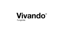 AR-logo-Vivando