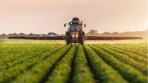 Tractor spraying crops with herbicide on green field at sunrise. 