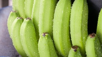 Fotografia del cultivo de banano en Ecuador