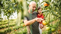 Padre llevando a su hija en brazos y revisando sus vegetales orgánicos en invernadero