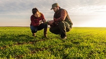 Two farmers examining crops in a green field under a cloudy sky. 