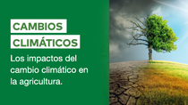 PY-Agricultura-y-cambio-climático-Teaser