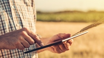 Smart farming, using modern technologies in agriculture. Male agronomist farmer with digital tablet computer in wheat field using apps and internet in agricultural production and crop protection, selective focus Smart farming, using modern technologies in agriculture. Male agronomist farmer with digital tablet computer in wheat field using apps and internet in agricultural production and crop protection, selective focus