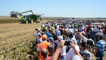 Farmers on the field; Farm Progress Show Farmers on the field; Farm Progress Show