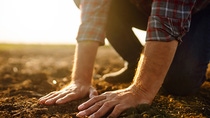 Close-up of farmer’s hands touching soil in field. 