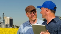 Farmers in Canola
