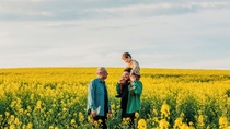 Un padre lleva a su hijo al hombro junto a su abuelo en un campo de colza Un padre lleva a su hijo al hombro junto a su abuelo en un campo de colza