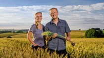 A female and a male farmer standing on a field holding a bunch of wheat A female and a male farmer standing on a field holding a bunch of wheat