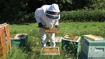 Jens Beekeeper 2nd Visit
