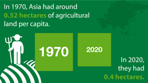 Agricultural land per capita - Asia | STATISTA Agricultural land per capita - Asia | STATISTA