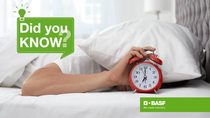 A person laying in bed with an alarm clock A person laying in bed with an alarm clock