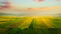 Aerial of beautiful sunset over agricultural fields Aerial of beautiful sunset over agricultural fields