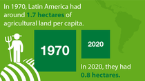 Agricultural land per capita - Latin America | STATISTA Agricultural land per capita - Latin America | STATISTA