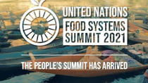 Logo of the UN Food Systems Summit 2021 with sub-headline "The people's summit has arrived"