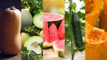 AR-calabaza-melon-pepino-sandia-zapallo AR-calabaza-melon-pepino-sandia-zapallo