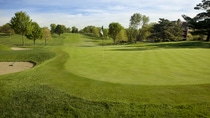 Golf green on sunny morning Golf green on sunny morning