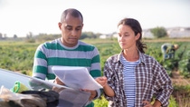 Focused couple of farmers standing outdoors near car on background with vegetable plantation, discussing documents.. Focused couple of farmers standing outdoors near car on background with vegetable plantation, discussing documents..