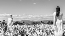 Fashion show in cotton field_7 Fashion show in cotton field_7