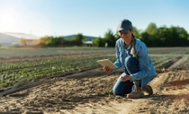 AR Mujer campesina trabajando con tableta