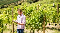 Man using phone and tablet at vineyard