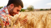 Agricultor en un campo de trigo Agricultor en un campo de trigo