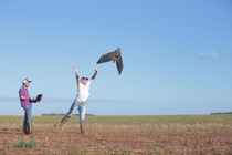 Two men with agricultural drone