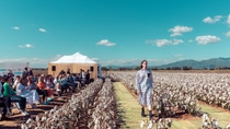 Fashion show in cotton field_6 Fashion show in cotton field_6
