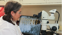 Dr. Diana Londoño in her lab in Research Triangle Park, North Carolina. Dr. Diana Londoño in her lab in Research Triangle Park, North Carolina.