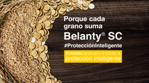 Belanty porque cada grano suma BASF Colombia Belanty porque cada grano suma BASF Colombia