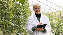 Portrait of a senior agricultural engineer wearing a lab coat using a tablet computer to test plant's health and analyze data in an industrial greenhouse.