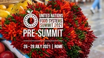 Teaser Picture displaying a bunch of peppers and many apples. The white lettering reads: United Nations Food Systems Summit 2021 Pre-Summit 26 - 28 July 2021 in Rome Teaser Picture displaying a bunch of peppers and many apples. The white lettering reads: United Nations Food Systems Summit 2021 Pre-Summit 26 - 28 July 2021 in Rome