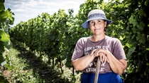 Woman farmer in the vineyard