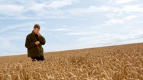 Farmer in a wheat field, UK Farmer in a wheat field, UK