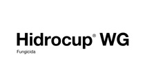 AR-logo-Hidrocup-WG