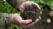 Homem segurando terra nas mãos BASF Brasil