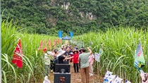 Yuntianhua organized field trials and demonstrations in 2025 to sugar cane growers in Guangxi Province of Southern China.