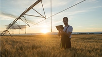Farmer using tablet in field with irrigation system at sunset, symbolizing use of innovative agricultural solutions. 