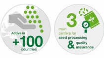 Icon - The text reads: Active in + 100 countries. 3 main centers for seed processing & quality assurance.