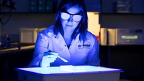 Women working in the Gel Electrophoresis lab in Belgium Women working in the Gel Electrophoresis lab in Belgium