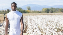 Fashion show in cotton field_3 Fashion show in cotton field_3