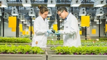 Adapzo® Active, latest fungicide innovation from BASF Agricultural Solutions’ R&D pipeline, has earned a new FRAC mode of action classification. Adapzo provides farmers a new tool to tackle Asian soybean rust and maximize yield potential.