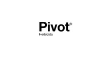 AR-logo-Pivot AR-logo-Pivot