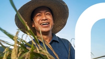 Prexio® Active, ein neuer Insektizid-Wirkstoff, wird voraussichtlich im zweiten Quartal 2025 in einer einfach zu handhabenden Formulierung in Indien erhältlich sein. Andere wichtige Märkte im asiatisch-pazifischen Raum werden folgen. Mit seiner neuartigen Wirkungsweise wurde Prexio speziell für die Kontrolle verschiedener Reiszikaden-Arten entwickelt.
Foto: BASF SE Prexio® Active, ein neuer Insektizid-Wirkstoff, wird voraussichtlich im zweiten Quartal 2025 in einer einfach zu handhabenden Formulierung in Indien erhältlich sein. Andere wichtige Märkte im asiatisch-pazifischen Raum werden folgen. Mit seiner neuartigen Wirkungsweise wurde Prexio speziell für die Kontrolle verschiedener Reiszikaden-Arten entwickelt.
Foto: BASF SE