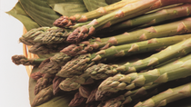 AR-cultivo-de-esparrago AR-cultivo-de-esparrago